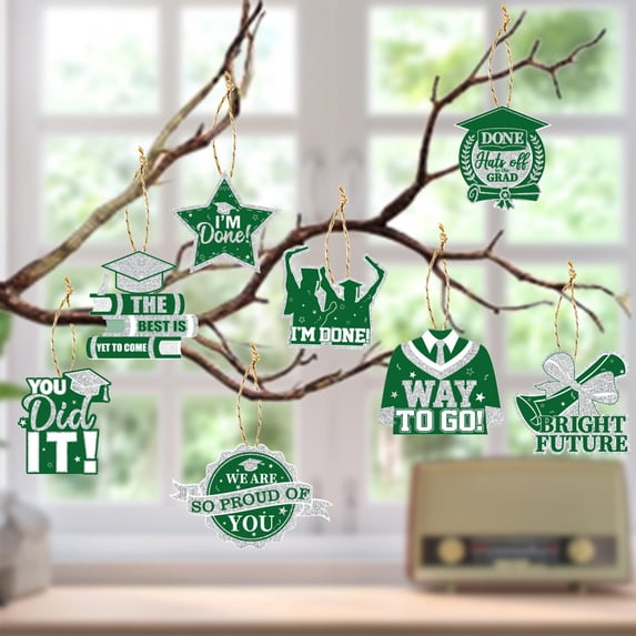 Aoznliie Graduation Hanging Decorations, 8 Piece Set Graduation Hanging Swirls for Grad Party Supplies