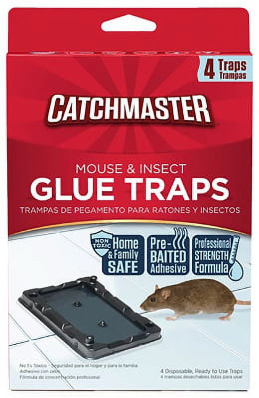 40 Pcs Baited Mouse Trap, Glue Traps, Adhesive Rat Trap, Plastic Sticky  Straps, Pest Control Traps for Household Pests Mouse Traps House Indoor