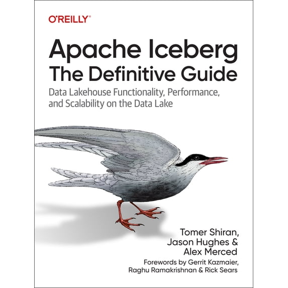 Apache Iceberg: The Definitive Guide: Data Lakehouse Functionality ...