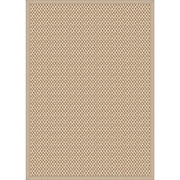 Apache Mills Natural Sisal Flat Woven Farmhouse 5 x 7 Indoor Area Rug