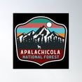 thumbnail image 1 of Apalachicola National Forest Poster Wall Art, Modern Wall Decor, 24x24 UNFRAMED, 1 of 3