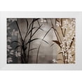 thumbnail image 1 of Aparicio, Edward 18x13 White Modern Wood Framed Museum Art Print Titled - Silver Whispers II, 1 of 4