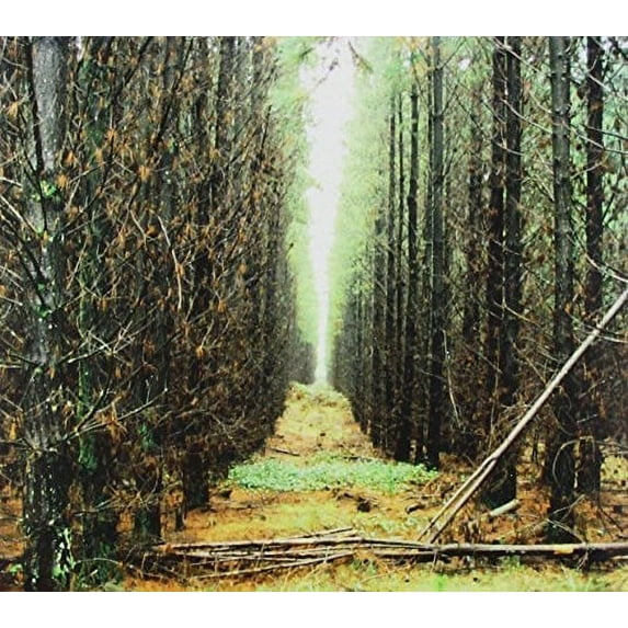 Apart from This - In Gloom - Music & Performance - CD