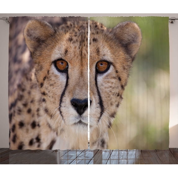 Ambesonne Mountain Curtains 2 Panel Set, Spring Scenery in Alps, 108" x 90", Multicolor