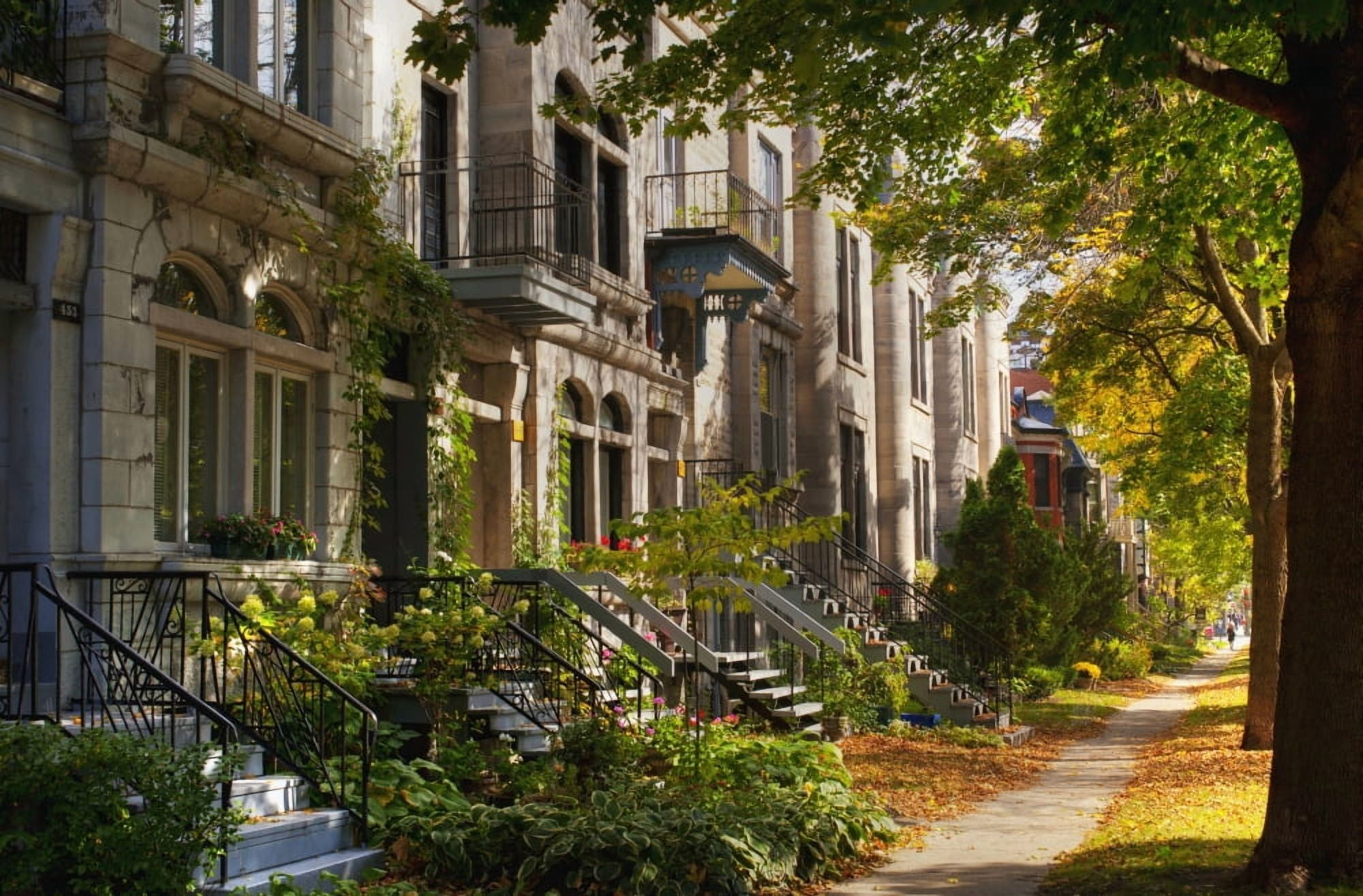 Apartment buildings along city street Montreal Quebec Canada Canvas Art - David Chapman Design Pics (19 x 12)