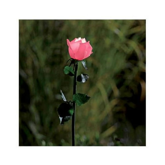 Apat Electrical Limited PL-1043PN LED Solar Stake Light, Pink Plastic Rose, 32-In.