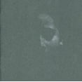 thumbnail image 1 of Apathy, 1 of 1