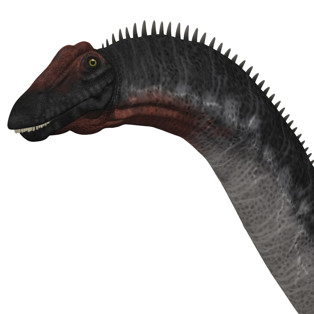 Apatosaurus dinosaur Canvas Art - Corey FordStocktrek Images (29 x 29)
