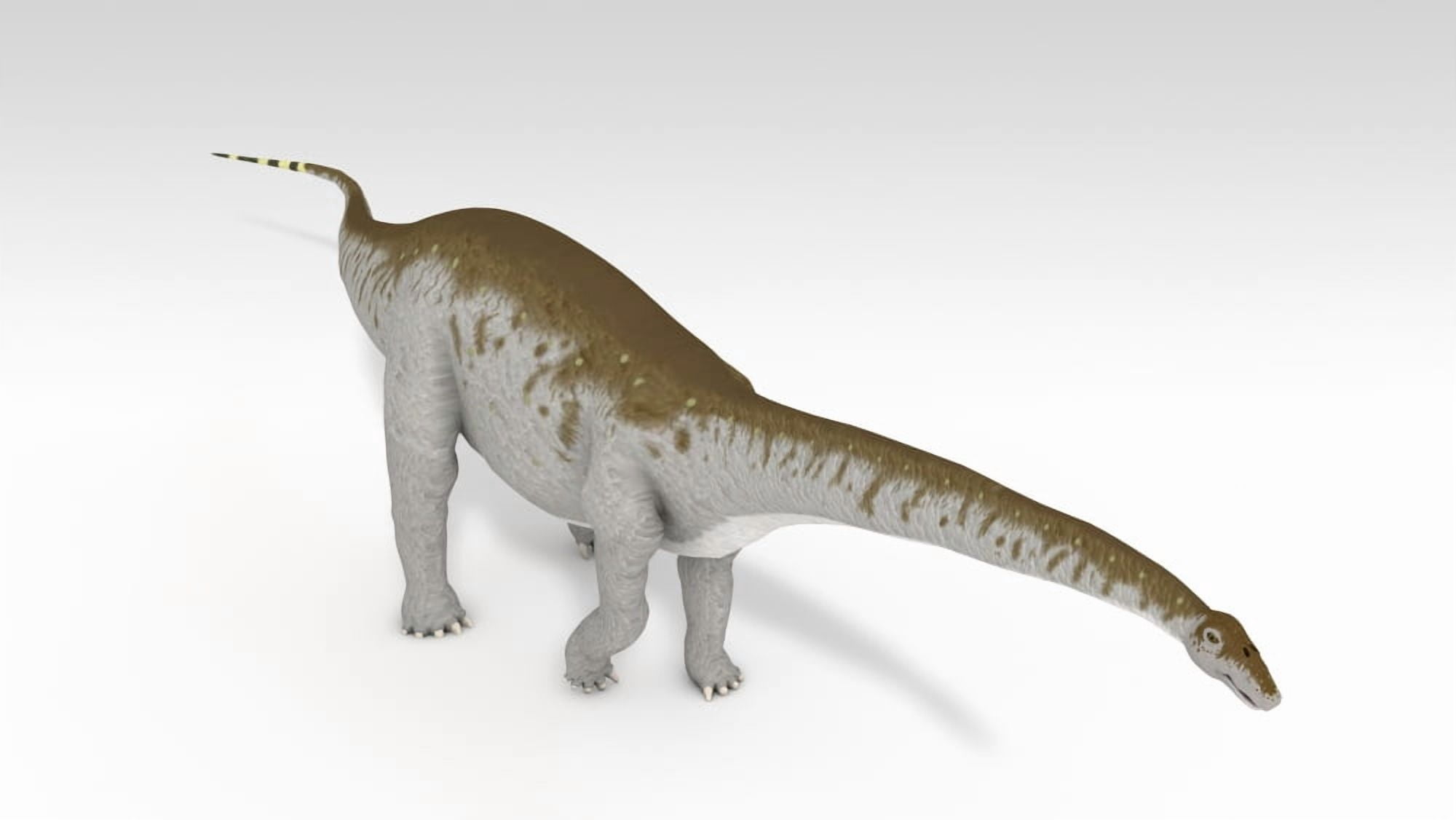 Apatosaurus dinosaur white background Canvas Art - Kostyantyn IvanyshenStocktrek Images (38 x 22)