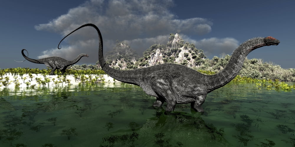 Apatosaurus dinosaurs roam the wilderness of prehistoric times Canvas Art - Corey FordStocktrek Images (20 x 10)