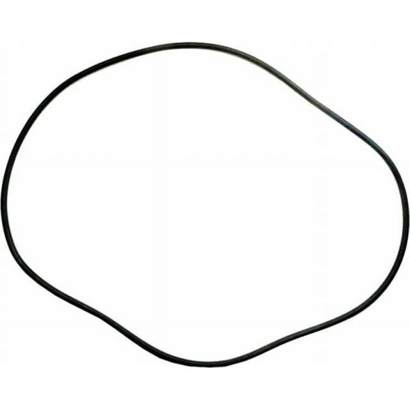 ApcO-10624 in. Tank O-Ring Swimquip