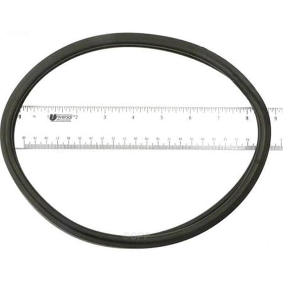 Apco Pool Specialties APCO2348 Anthony Lens Gasket