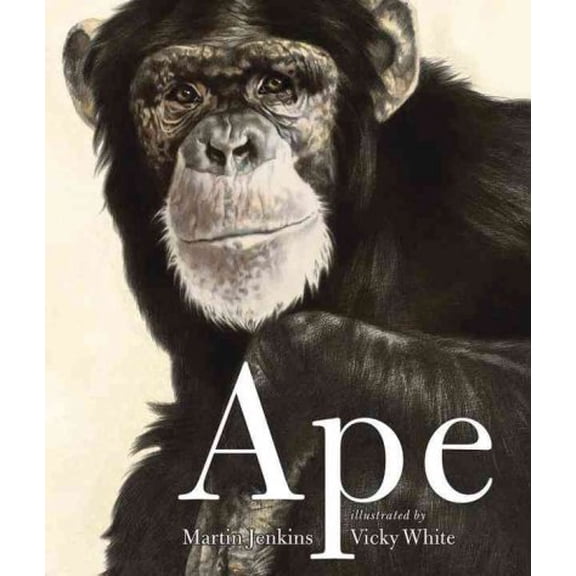 Pre-Owned Ape (Paperback) 0763649740 9780763649746