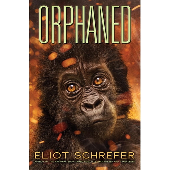 Ape Quartet: Orphaned (Ape Quartet #4): Volume 4 (Paperback)