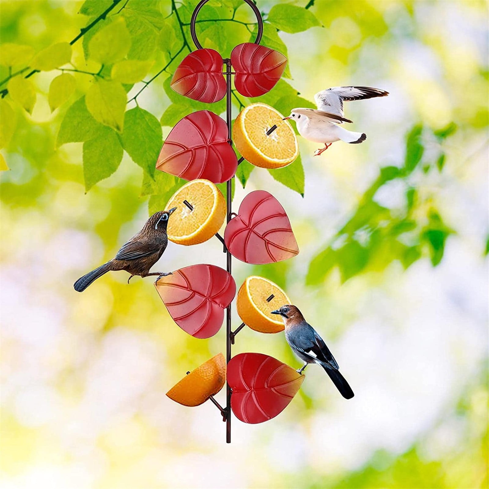 Apepal Garden Metal Hanging Hummingbird Feeder Outdoor Jelly And Orange
