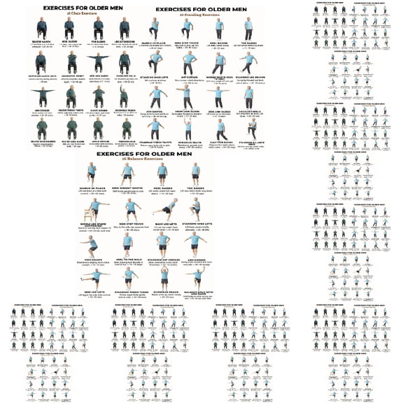 Apeya 30-Pack Canvas Seated Exercise Charts, 8x10 Inch Unframed Chair Fitness Guide, Low-Impact Tai Chi Routine Posters for Older Men Balance and Rehab
