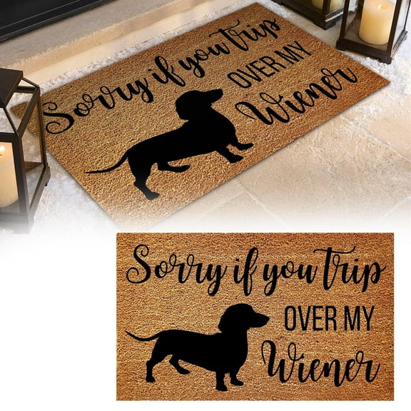 Apeya Funny Welcome Doormat-Anti-Slip Farmhouse Style Creative Design,For Entryway/Front Porch/Patio/Home,Indoor & Outdoor Use,Dachshund Rug with Crystal Velvet Surface And Non-Slip Bottom
