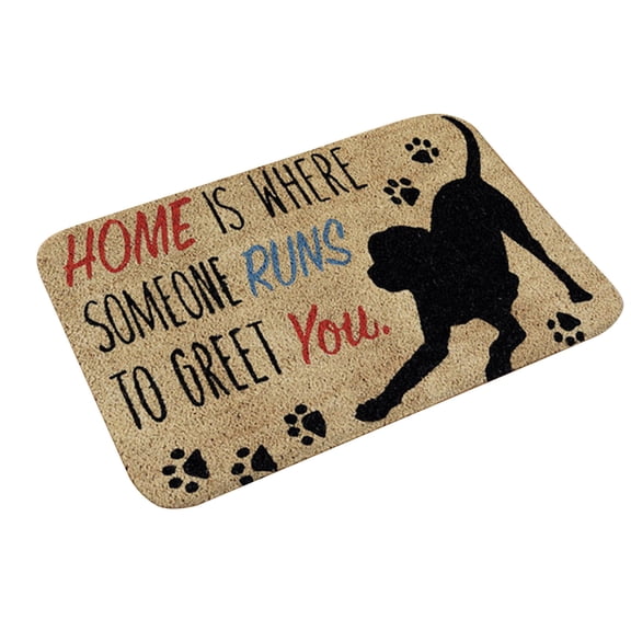 Apmemiss Brown Polyester Indoor Outdoor Entryway Rugs-Shoe Mat Scraper, 40cm x 60cm