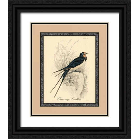 Apogee Art Services 26x31 Black Ornate Wood Framed with Double Matting Museum Art Print Titled - Printed Chimney Swallow