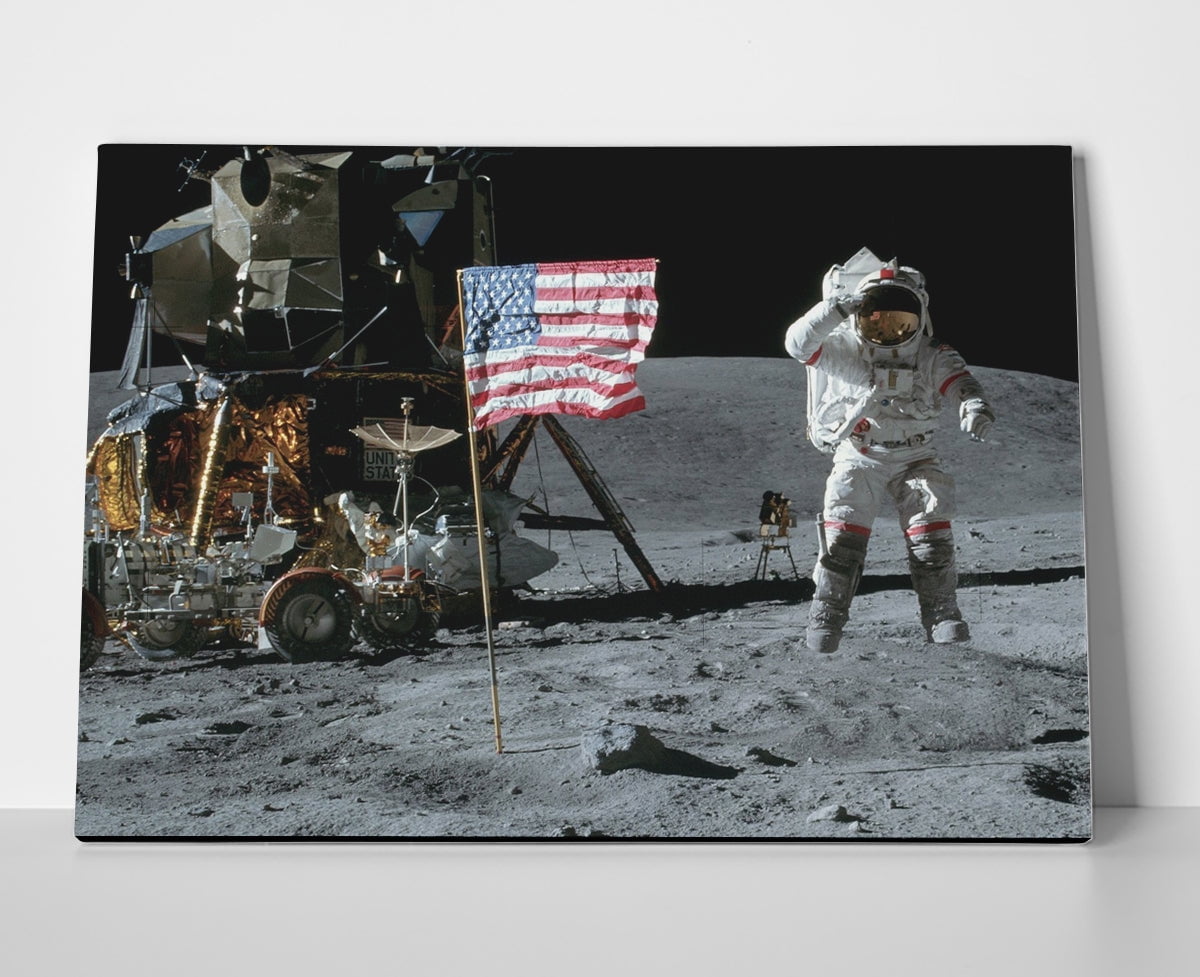 Apollo 11 Moon Landing Poster or Wrapped Canvas - Walmart.com