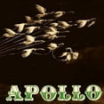thumbnail image 1 of Apollo - Apollo - Vinyl, 1 of 1