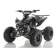 Apollo Blazer 9 125cc ATV- 9"Tires, Fully-automatic with Reverse -Free Shipping To Your Door-Black