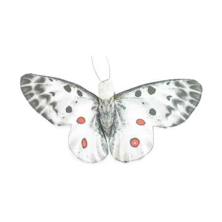 Apollo Butterfly, Finger Puppet, Very Nice Plush, Insect, Realistic, Educational, Toy, Kids, Gift, 15 Inches. WR36 BB317