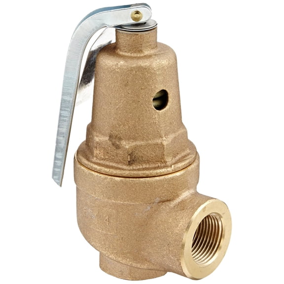 Apollo Valve 10-600 Series Bronze Safety Relief Valve, ASME Hot Water, 100 psi Set Pressure, 1" NPT Female CA3