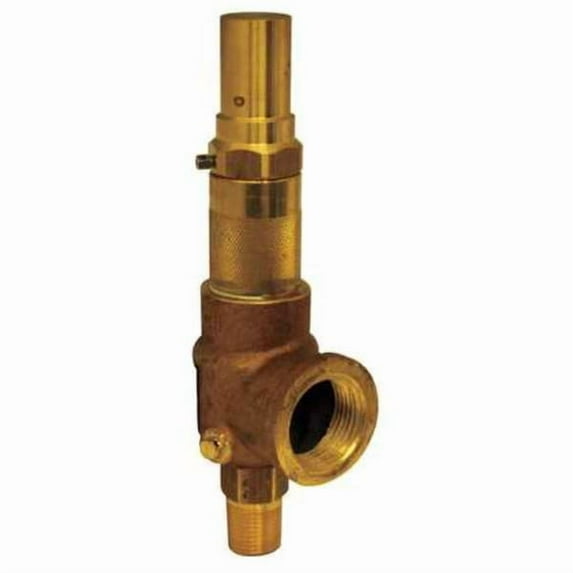 Apollo Valves Adjustable Relief Valve,1/2 In,60 psi 1650101