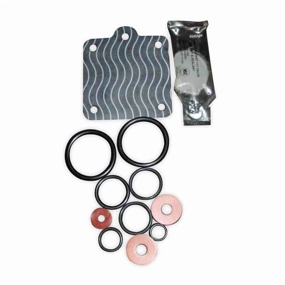 Backflow Preventer Repair Kit 40004A4