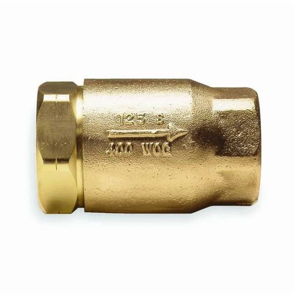 Apollo Valves 2-1/2" FNPT Bronze Ball Cone Spring Check Valve 6110901
