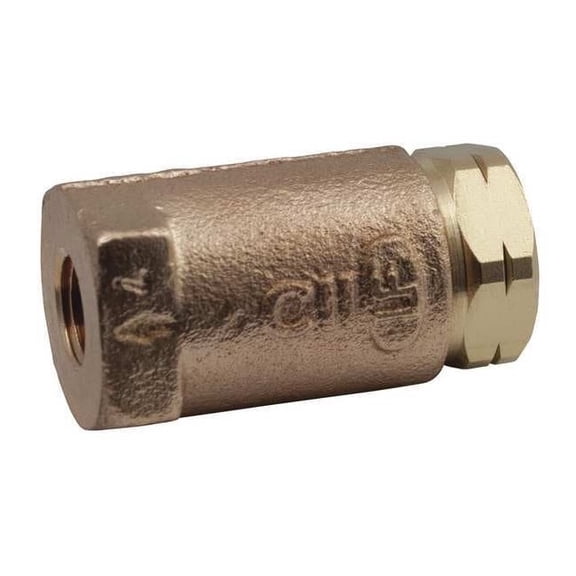Apollo Valves 2" FNPT Lead Free Bronze Ball Cone Check Valve 61LF10801