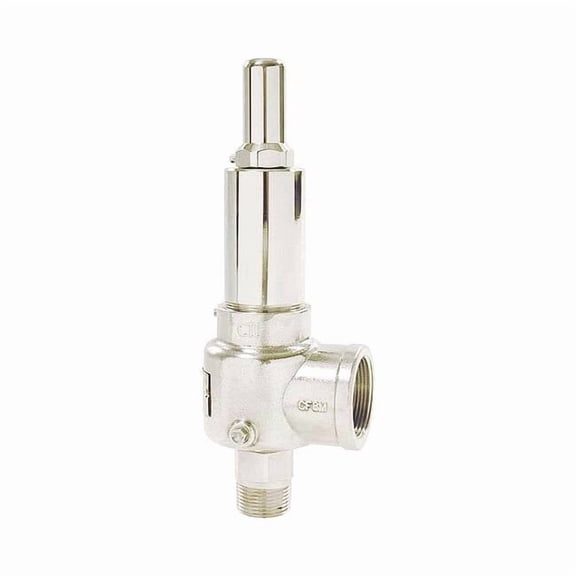 Apollo Valves POP Safety Valve,1/2 x 3/4 In,125 psi 511DCDKMAA0125