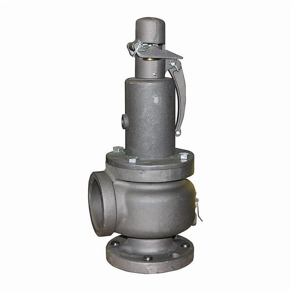 Apollo Valves Safety Relief Valve,1 In,15 psi 13202B15