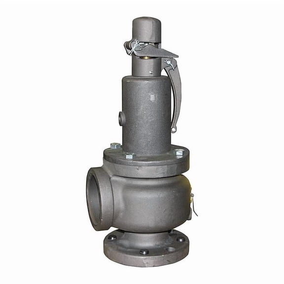 Apollo Valves Safety Relief Valve,3 In,15 psi,Bronze 1420708