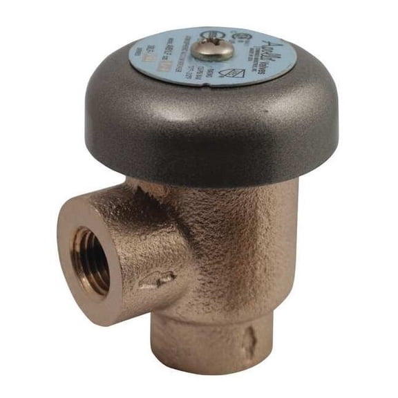 Apollo Valves Vacuum Breaker,1 In,FNPT,125 psi,125 psi 38LF10501