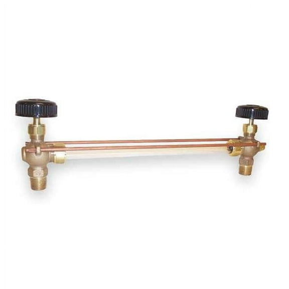 Apollo Valves Water Gauge,Pipe Size 3/4 In,MNPT 2020800