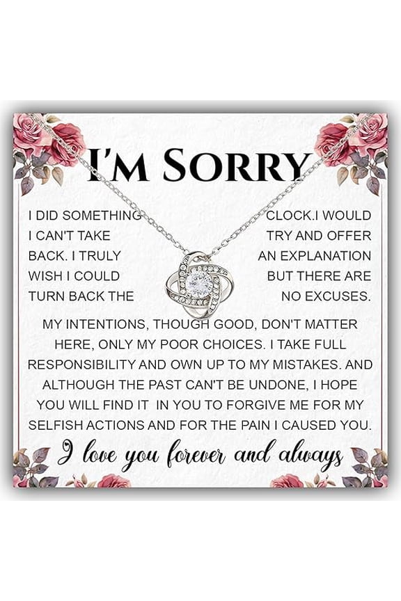 Apologize Gift For Wife Girlfriend Soulmate, I'm Sorry For Hurting You Neckace, Birthday Gift Necklace with Message Card and Gift Box, Forgive Me Gifts For Wife from Husband