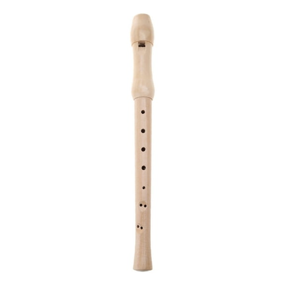 Apooke Kids Professional C Key 8 Hole Descant Soprano Recorder with Cleaning Rod, Soprano Recorder Instrument Descant Recorder
