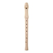 Apooke Kids Professional C Key 8 Hole Descant Soprano Recorder with Cleaning Rod, Soprano Recorder Instrument Descant Recorder