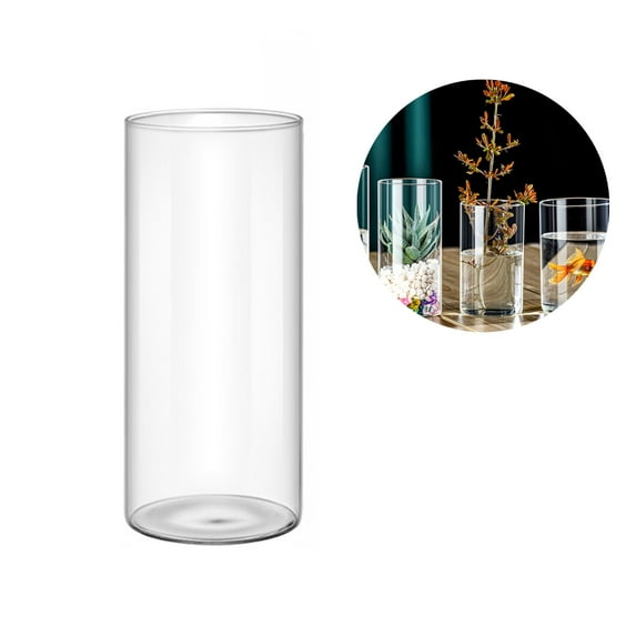 Apooke Small Glass Flower Vase Glass Cylinders Vase Florals Container, Flower Vase Delicate Decorative Vase for Offices Home