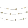 thumbnail image 1 of Apothecary & Company Decorative LED String Lights - Striped Micro Balls, 1 of 3