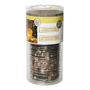 Apothecary & Company Silver Decorative Micro LED String Lights - 15ft