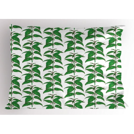 Apothecary Pillow Sham, Nettle Pattern Fresh Lush Foliage Hand Drawn Homeopathy Themed Illustration, Decorative Standard King Size Printed Pillowcase, 36 X 20 Inches, Green White, by Ambesonne