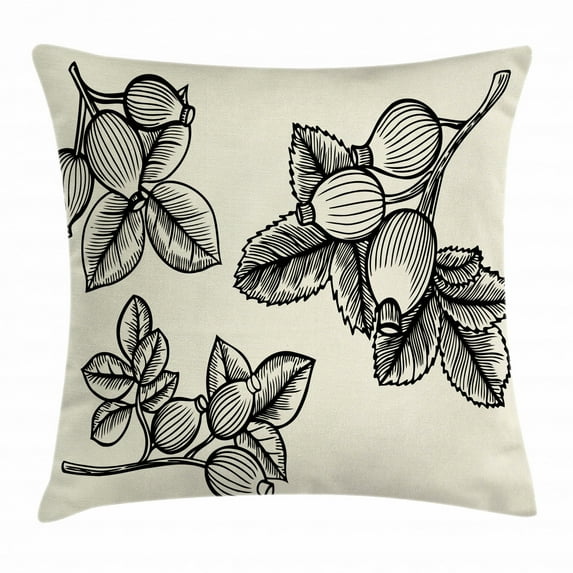 Apothecary Throw Pillow Cushion Cover, Hand Drawn Rosa Canina Leaves Herbs Vintage Botany Plants Gardening Sketch, Decorative Square Accent Pillow Case, 20 X 20 Inches, Eggshell Black, by Ambesonne