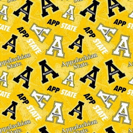 Appalachian state APPST-1178