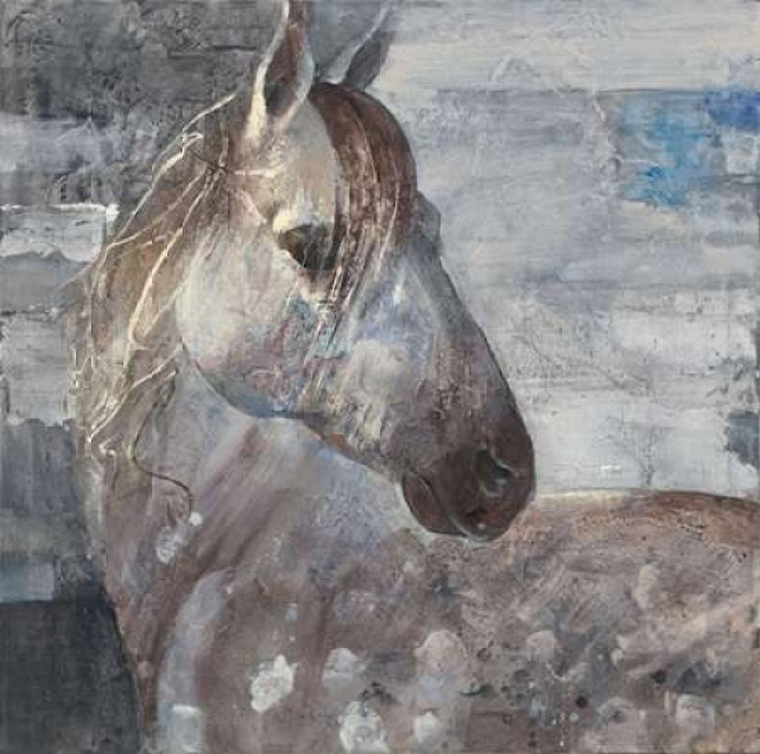 Appaloosa Canvas Art - Albena Hristova (24 x 24)