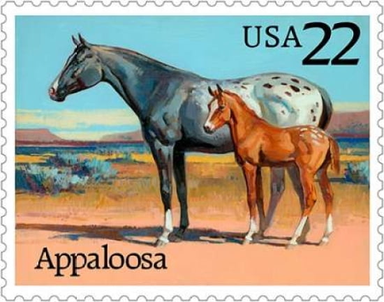 Appaloosa Canvas Art - US POSTAL SERVICE (20 x 24)