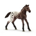 thumbnail image 1 of Appaloosa Foal, 1 of 4