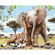 Appash Paint by Numbers DIY Acrylic Painting for Adults 16x20 inch